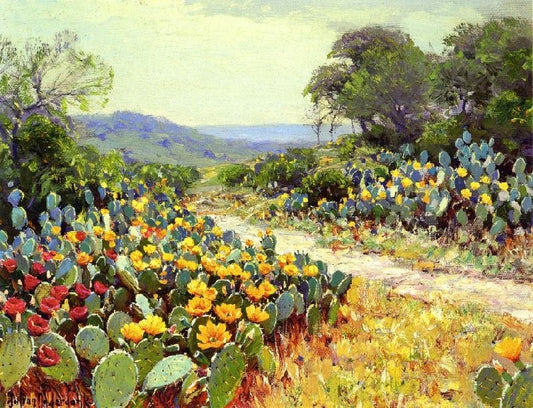 Cactus In Bloom by Julian Onderdonk