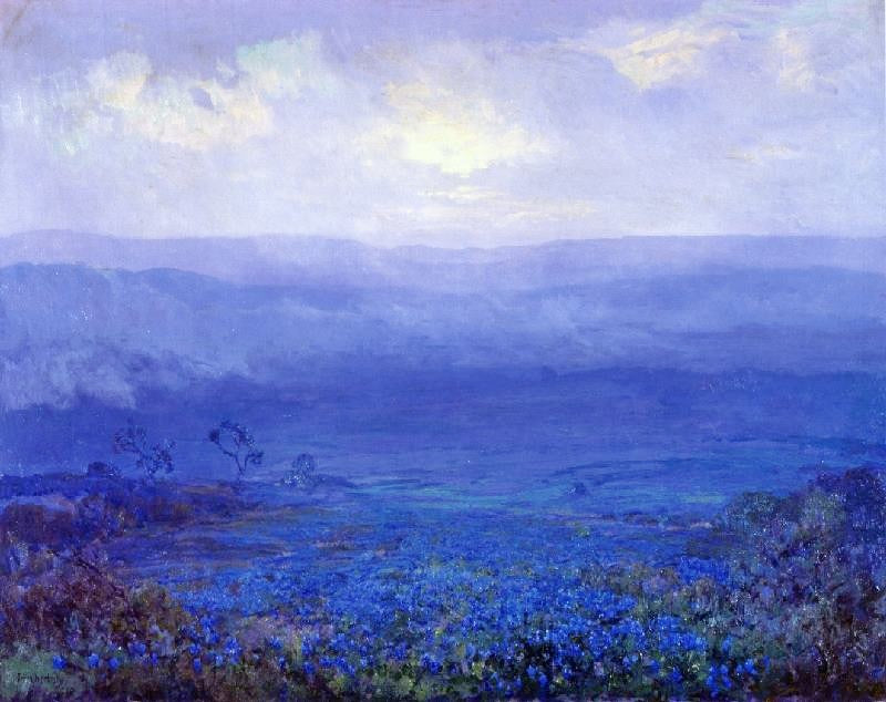BLUEBONNETS IN TEXAS