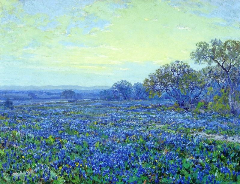 FIELD OF BLUEBONNETS UNDER CLOUDY SKY