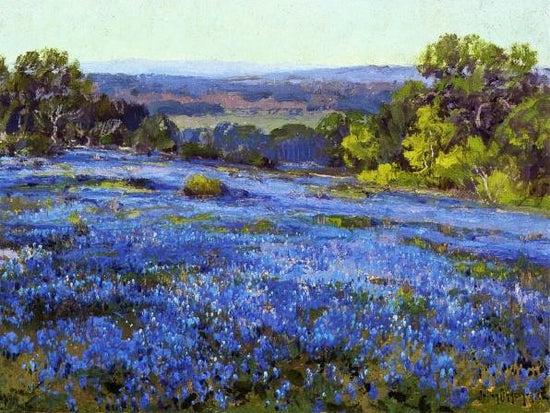 Bluebonnets, Late Afternoon, North Of San Antonio by Julian Onderdonk