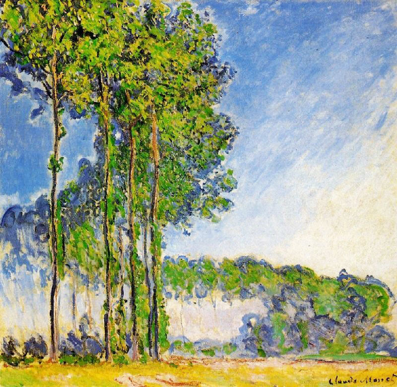 POPLARS, VIEW FROM THE MARSH