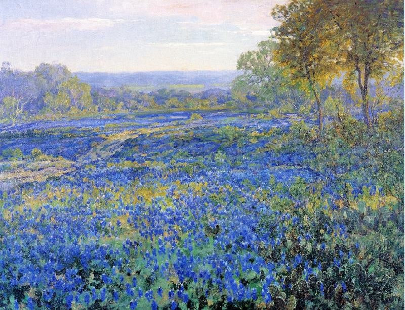 Fields Of Bluebonnets by Julian Onderdonk