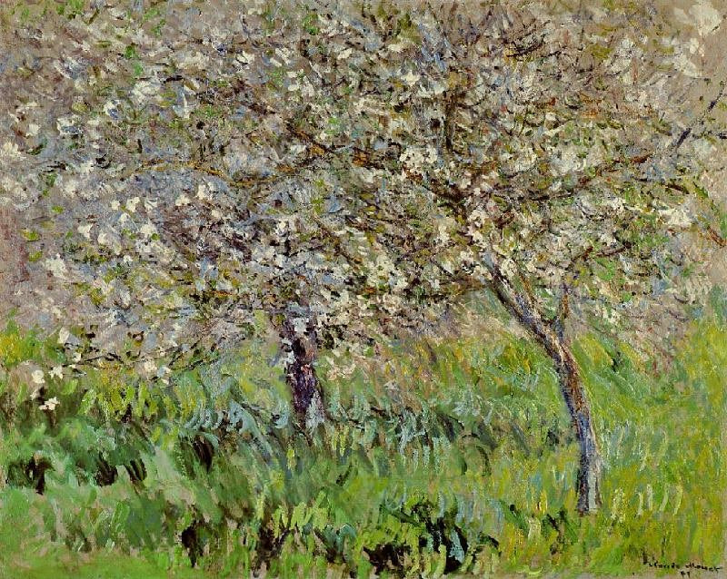 APPLE TREES IN BLOOM AT GIVERNY