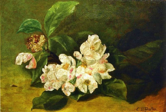 Apple Blossoms On A Ledge by Charles Ethan Porter
