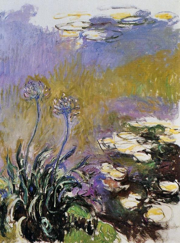 Agapanthus by Claude Oscar Monet