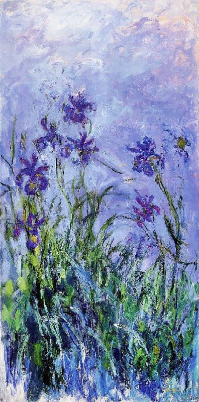 LILAC IRISES