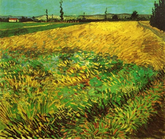 Wheat Field With The Alpilles Foothills In The Background by Vincent van Gogh