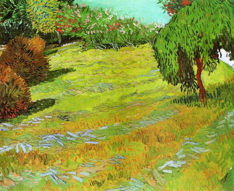 SUNNY LAWN IN A PUBLIC PARK