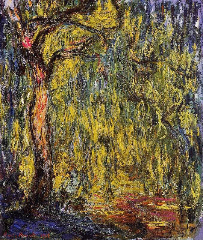 WEEPING WILLOW