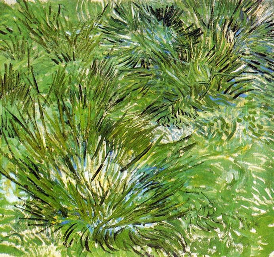 Clumps Of Grass by Vincent van Gogh