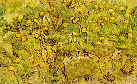 A Field Of Yellow Flowers by Vincent van Gogh