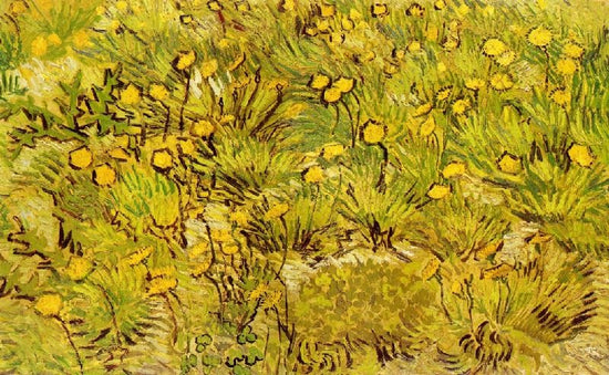 A Field Of Yellow Flowers by Vincent van Gogh