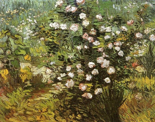Rosebush In Blossom by Vincent van Gogh