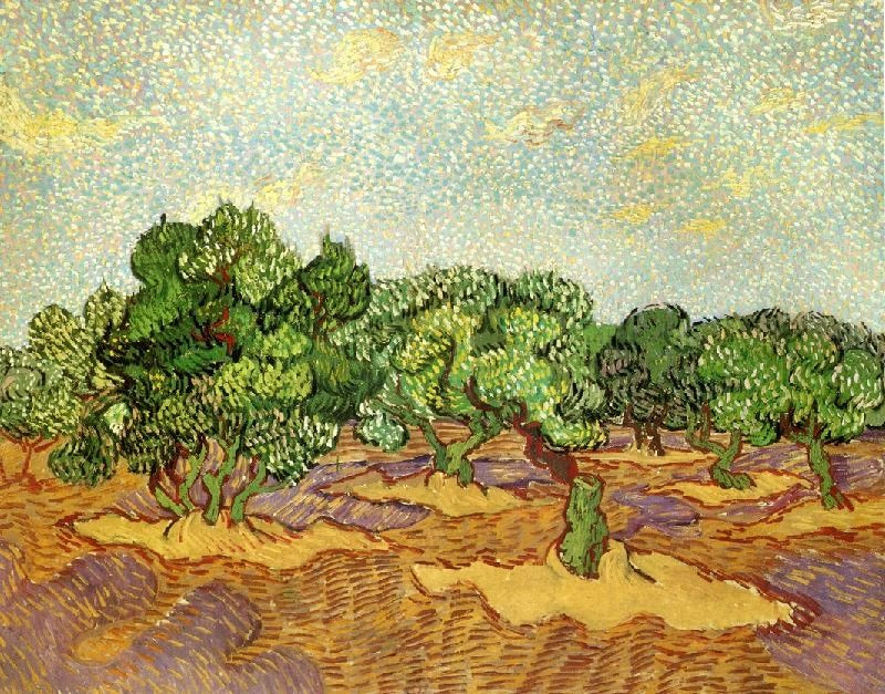 Olive Grove: Pale Blue Sky by Vincent van Gogh