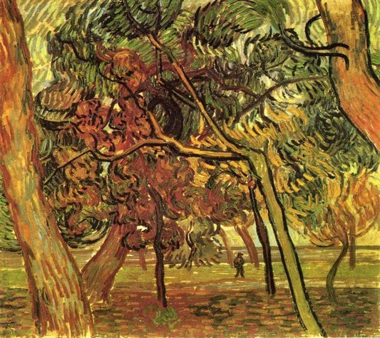 Study Of Pine Trees by Vincent van Gogh