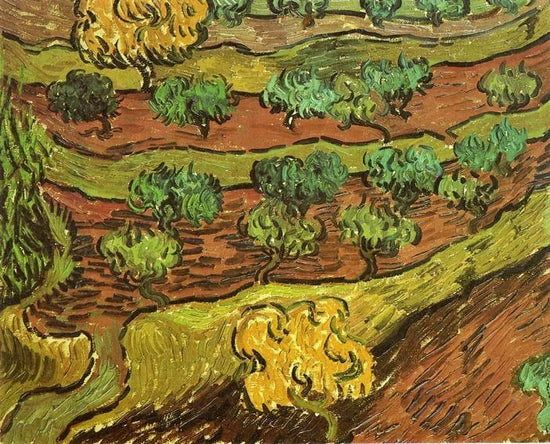Olive Trees Against A Slope Of A Hill by Vincent van Gogh