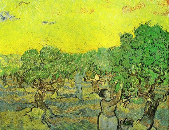 Olive Grove With Picking Figures by Vincent van Gogh