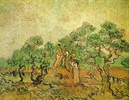 Olive Picking by Vincent van Gogh