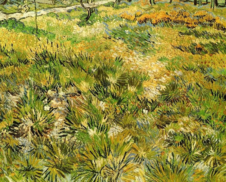 Meadow In The Garden Of Saint-Paul Hospital by Vincent van Gogh