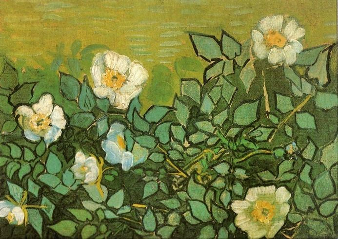 Wild Roses by Vincent van Gogh