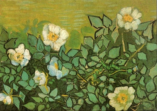Wild Roses by Vincent van Gogh