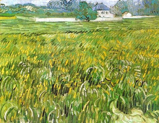 Wheat Field At Auvers With White House by Vincent van Gogh