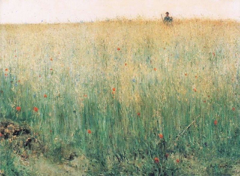 Oat Field, Grez by Karl Nordstrom