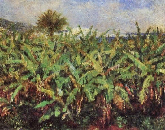 Field Of Banana Trees by Pierre Auguste Renoir