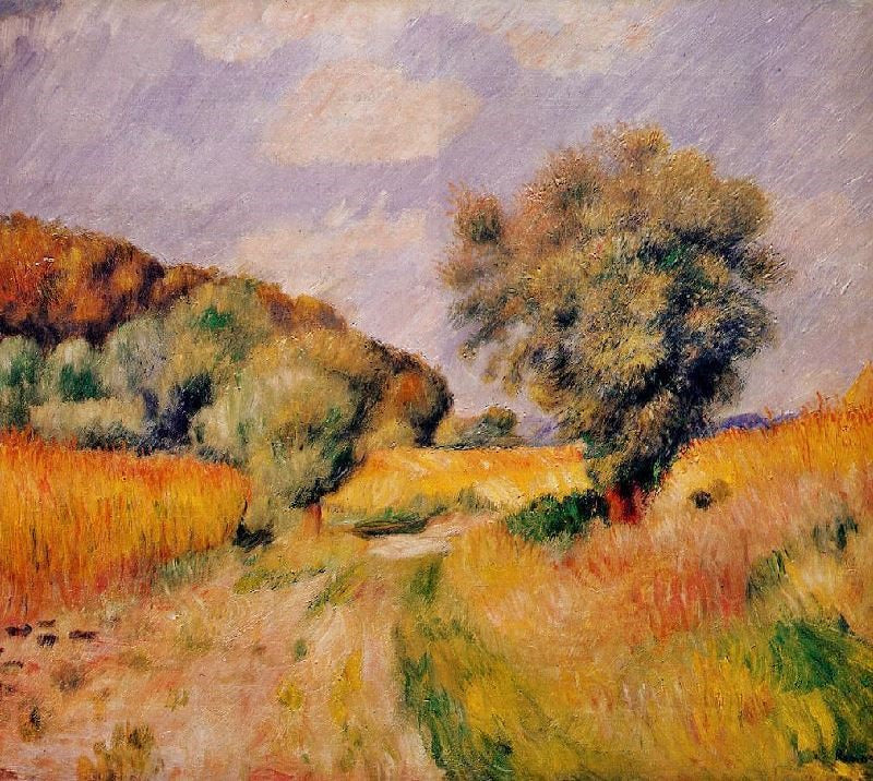 FIELDS OF WHEAT