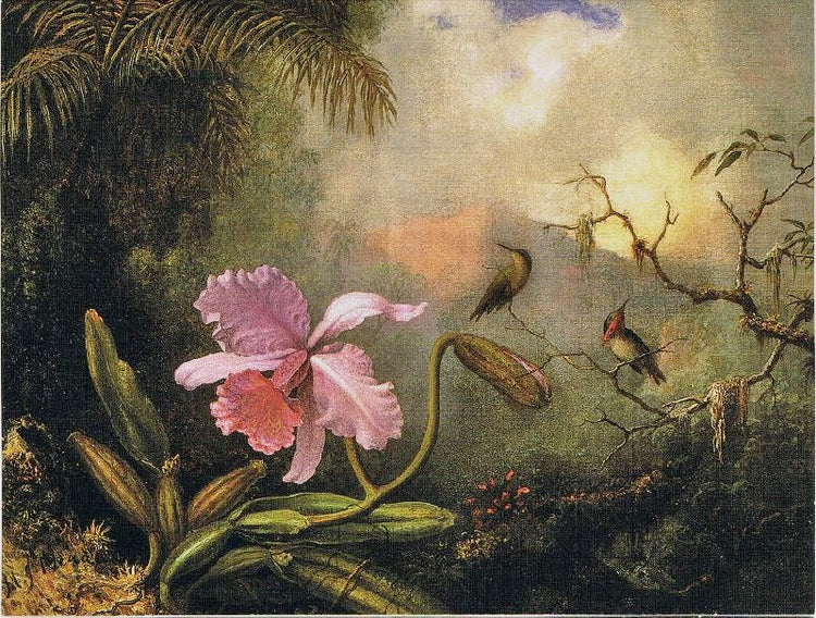 Cattleya Orchid With Two Hummingbirds by Martin Johnson Heade