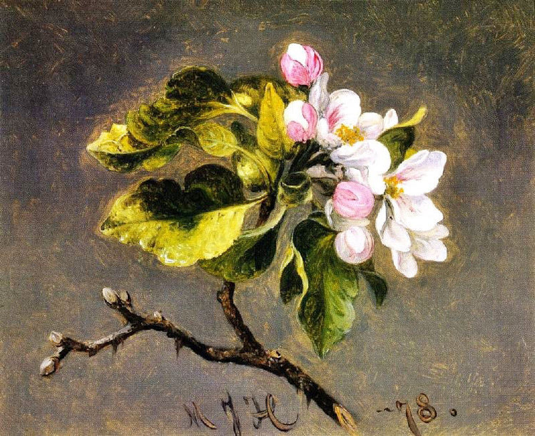 Apple Blossoms by Martin Johnson Heade