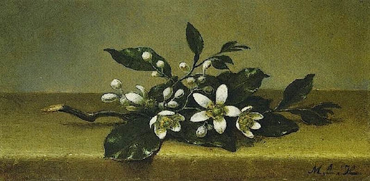 Branch Of Orange Blossoms by Martin Johnson Heade