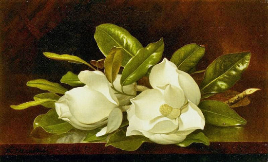 Magnolias On A Wooden Table by Martin Johnson Heade