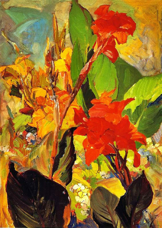 Cannas by Franz Bischoff