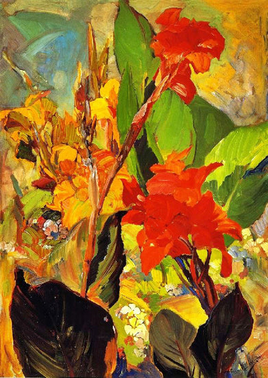 Cannas by Franz Bischoff