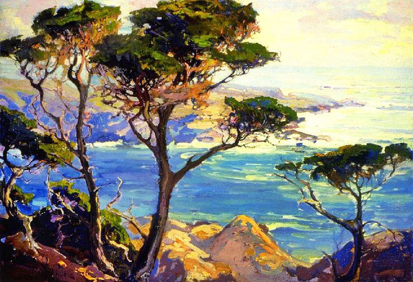A Lonely Headland, Point Lobos by Franz Bischoff