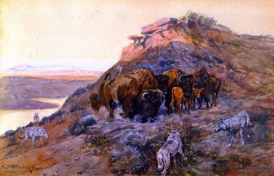 Buffalo Herd At Bay by Charles Marion Russell