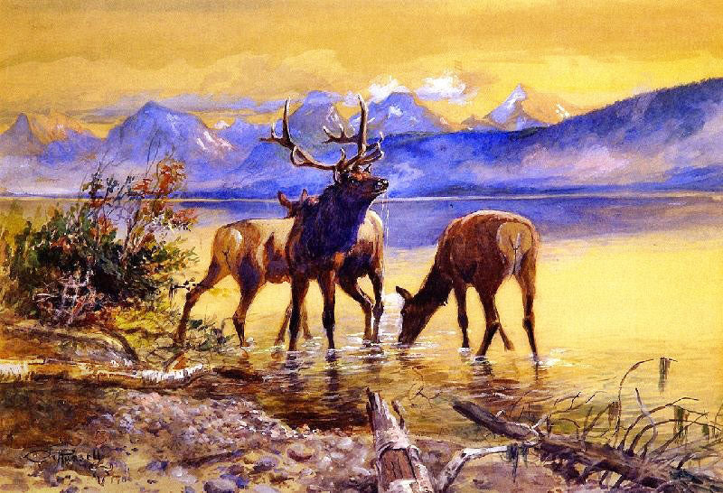 Elk In Lake Mcdonald by Charles Marion Russell