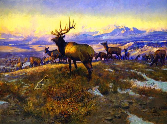 The Exalted Ruler by Charles Marion Russell