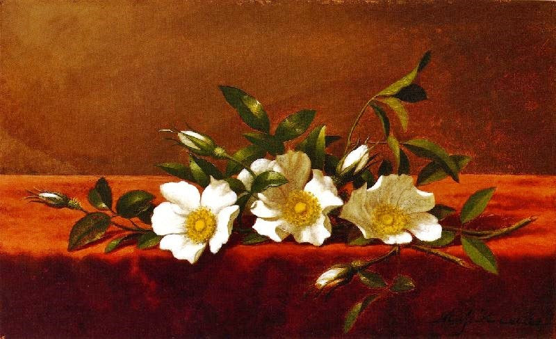 Cherokee Roses by Martin Johnson Heade