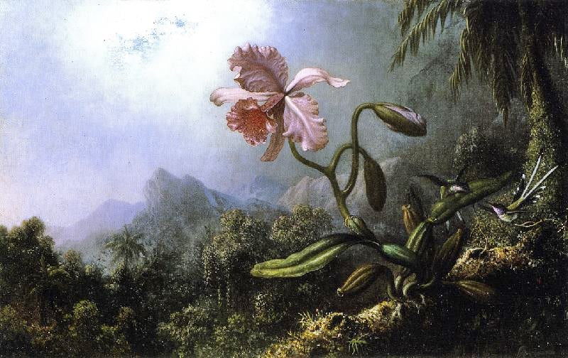 Two Hummingbirds With An Orchid by Martin Johnson Heade