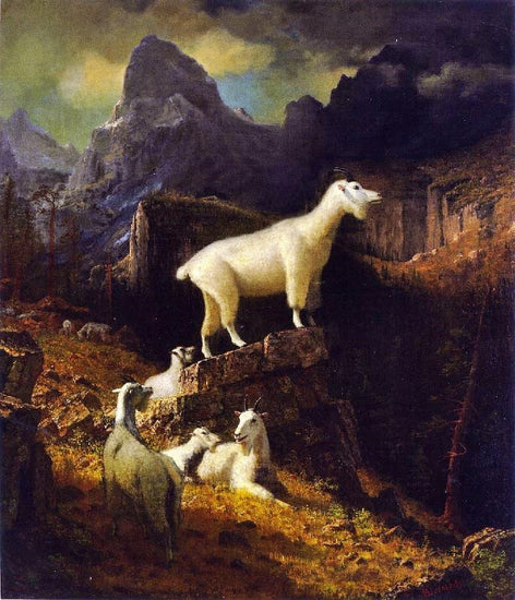 Rocky Mountain Goats by Albert Bierstadt