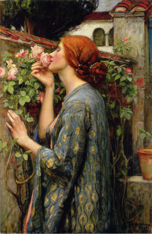 THE SOUL OF THE ROSE