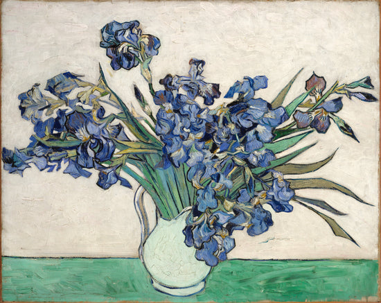 IRISES