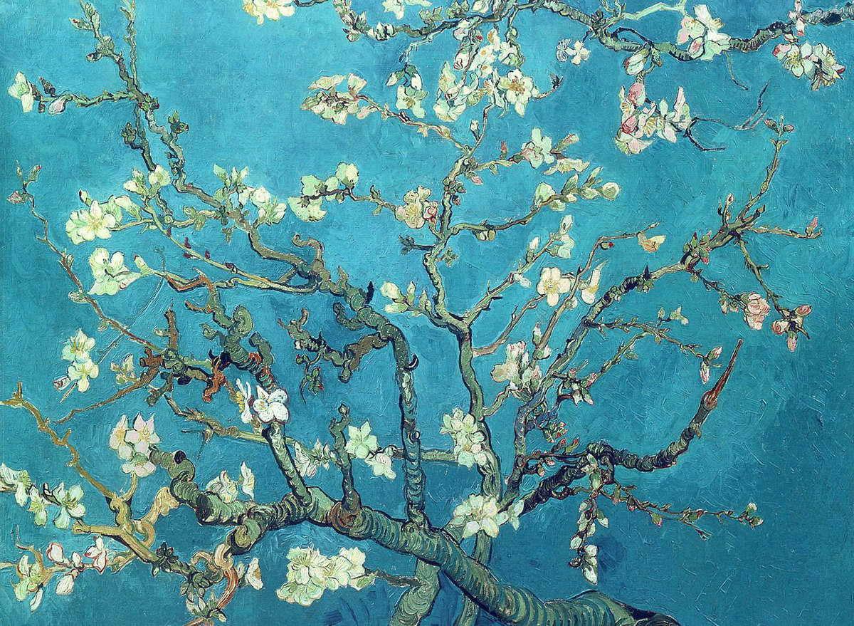 BRANCHES WITH ALMOND BLOSSOM