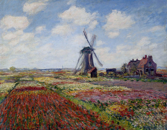 FIELD OF TULIPS IN HOLLAND