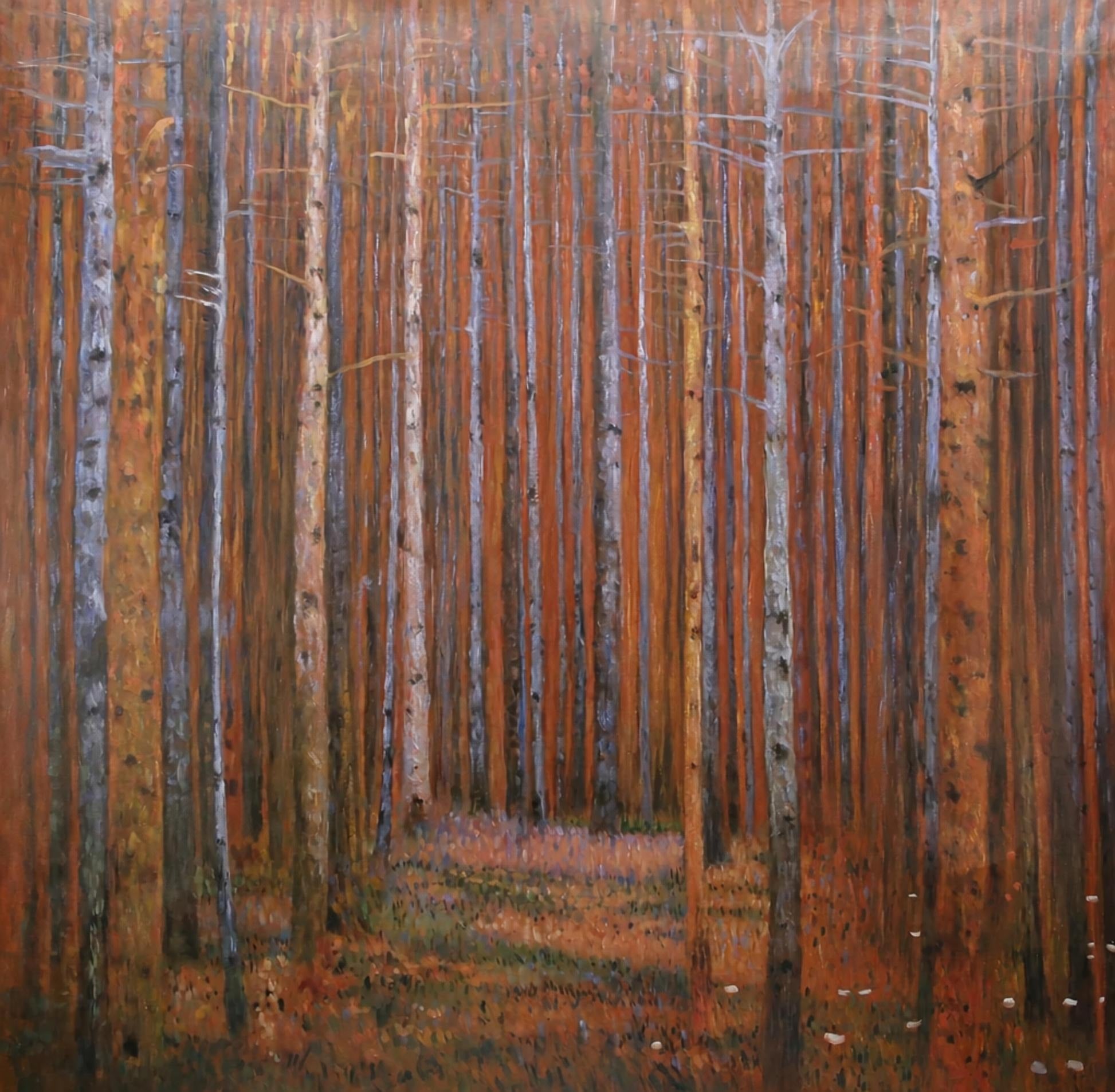 FIR FOREST I