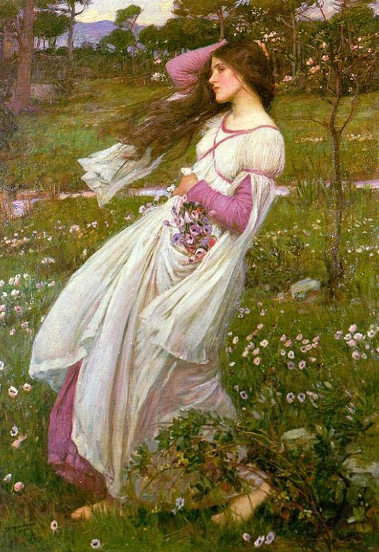 WINDFLOWERS