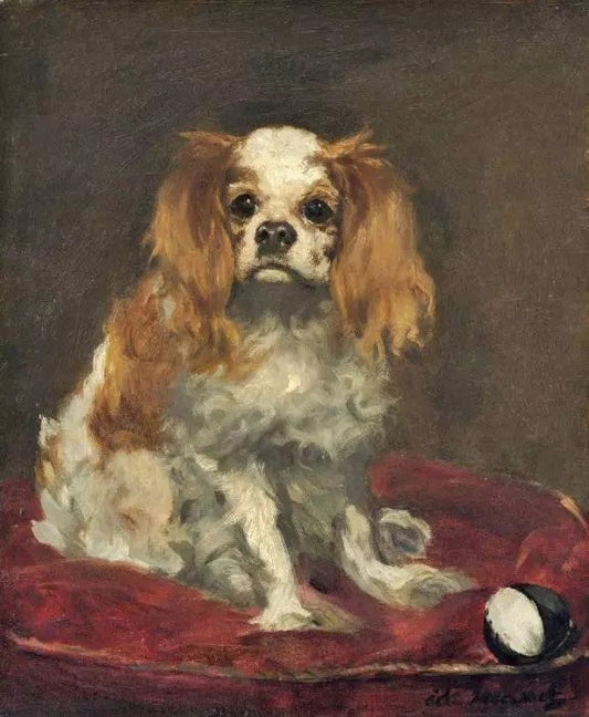 A KING CHARLES SPANIEL