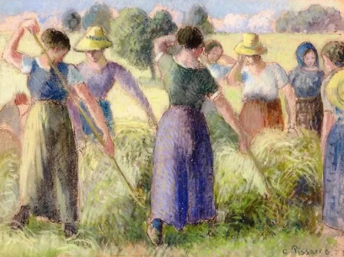 HAYMAKING